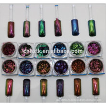 Pigment de caméléon pigment / nail art paillettes gros miroir Nail art flocon de paillettes / caméléon effet miroir pigment nacré